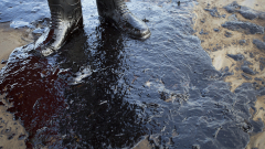 Шлеп причини петролен разлив след удар в мост в щата Тексас