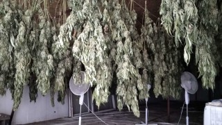 При спецакция във Варна по линия на наркоразпространението е установено