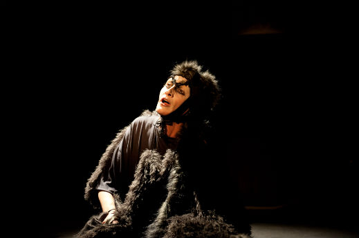 Диана Добрева и "Къщата на гнева"