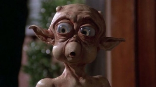 Климатичните промени и глобалното затопляне трябва да са главните убийци