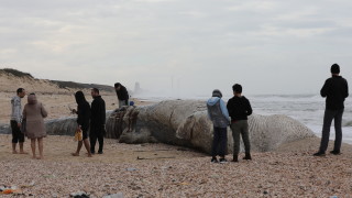 Израел затвори крайбрежието заради разлив на петрол