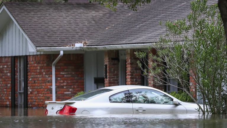 Изображение 310248