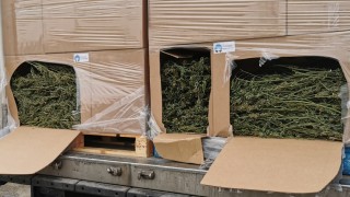 Под ръководството на Окръжна прокуратура Видин се води разследване