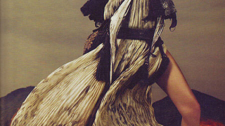 Жизел Бюндхен за "Roberto Cavalli 40th Anniversary"