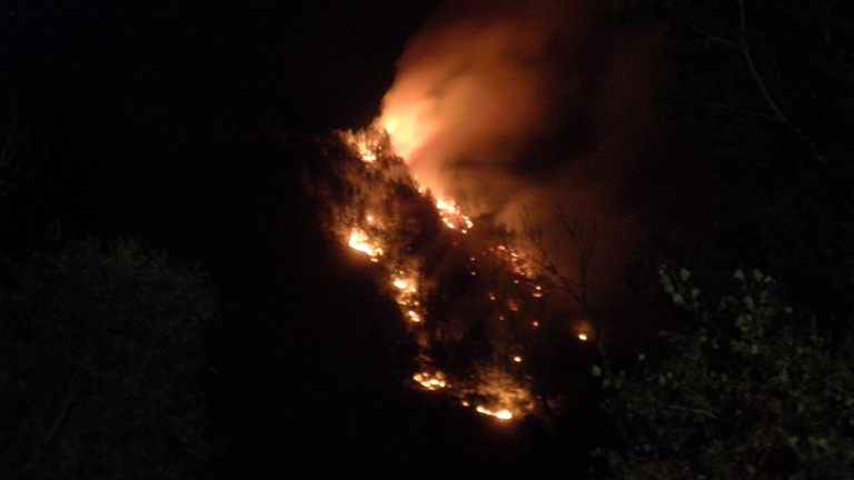 Изображение 250948