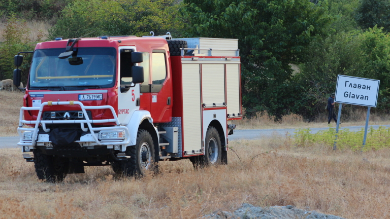 Изображение 251448