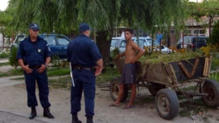 Бесен кон прати двама цигани в болница