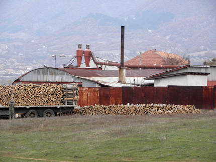 Забраната за износ на дървесина няма да реши проблемите