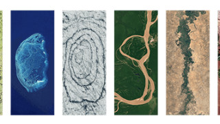 И тази година Google oтбелязa с doodle Деня на Земята