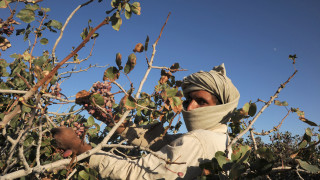 Когато говорим за износ от Иран днес всички се сещат