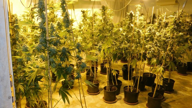 Изображение 413548