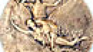 Наши ученици спечелиха международна олимпиада по лингвистика