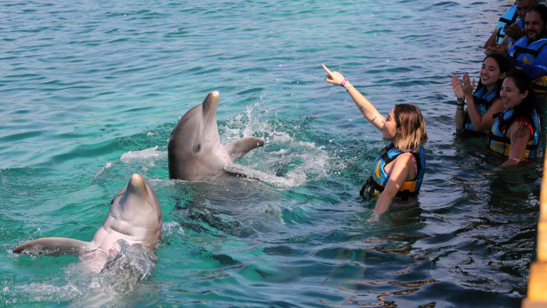 Στην Ελλάδα θα υπάρχουν πολλά δελφίνια