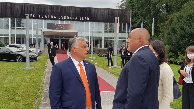 Изображение 494248