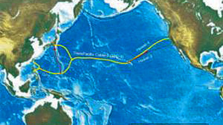 Изображение 24348