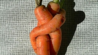 Ти и най-добрият ти приятел