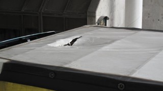 Граничари арестуваха трима мигранти укрити в камион на ГКПП Лесово