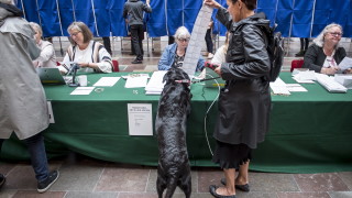 Крайнодясната Датска народна партия губи над половината от гласовете си