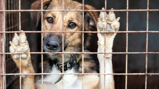 Министерският съвет прие Отчет за изпълнение на Националната програма за