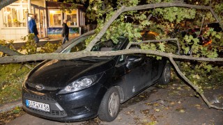 Циклонът „Ксавие” взе 6 жертви в Германия