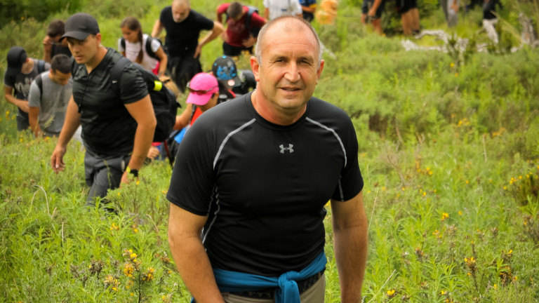 Изображение 486648