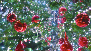 Лудогорец честити на своите фенове Рождество Христово Орлите сториха това