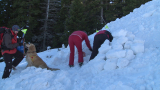Спасиха трима младежи, затрупани от лавина