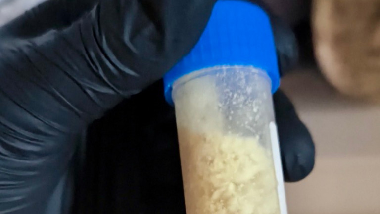 Изображение 727448