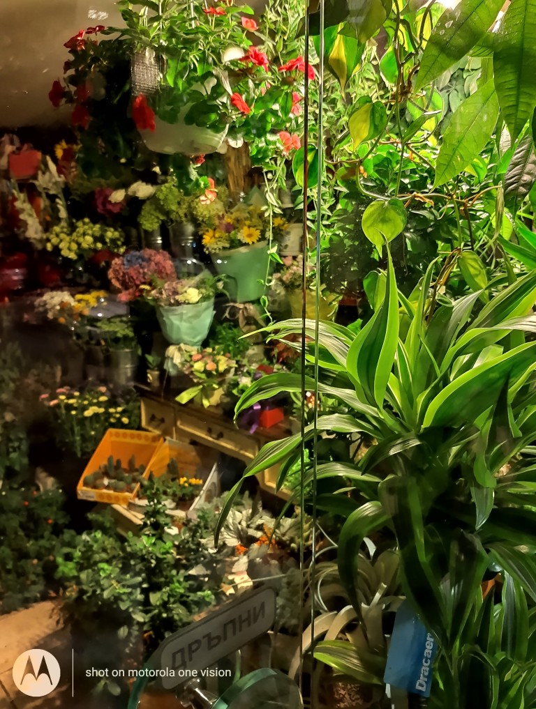 Нощем в градината на положителното и злото