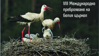 Българското дружество за защита на птиците БДЗП кани желаещи да