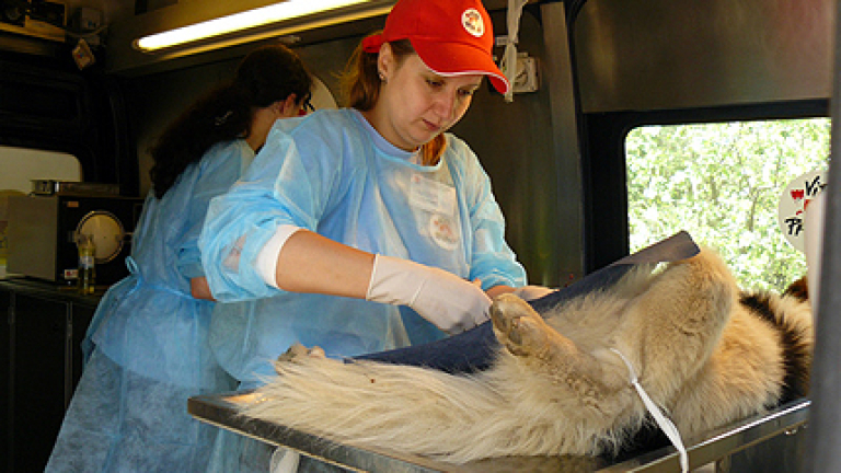 Изображение 98948