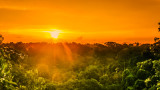  Амазонската джунгла, най-голямата тропическа гора в света и мистериите на Амазония 