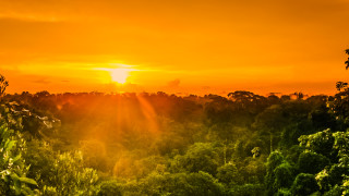 Мистериите на амазонската джунгла