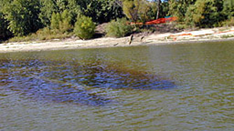 Изображение 9748