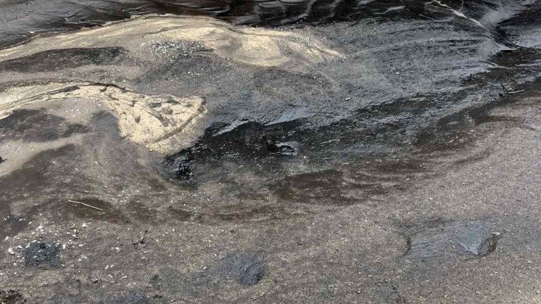 Изображение 749948