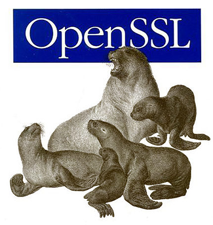 Откриха грешка в криптопротокола OpenSSL