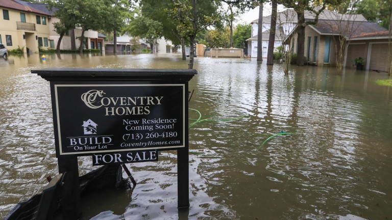 Изображение 310249