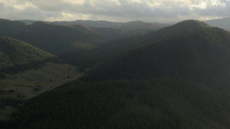 Изображение 140549