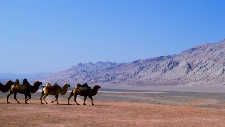 Китай превръща най-голямата си пустиня в оазис с 1000-километров водопровод