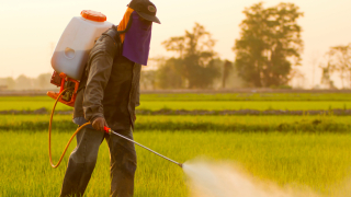 Евро НПО-та съдят "Монсанто" и агенцията за безопасност на храните на ЕС за канцерогенен пестицид