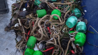 Инспектори от сектор Рибарство и контрол в Сливен и Стара