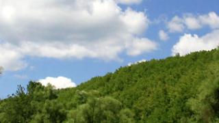 За десет години над 1 500 000 дка нови гори в България