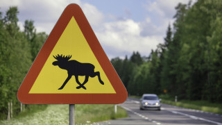 Когато сядаш да гледаш телевизия обикновено очакваш да научиш нещо