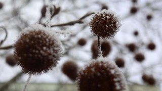 Вятърът от север северозапад в източните райони ще отслабне и ще