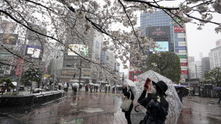 Япония засилва контрола върху закупуването на земя от чужденци