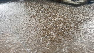 Голямо количество дъжд е паднало днес в Хасковско съобщи БТА