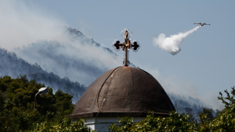 Изображение 544149