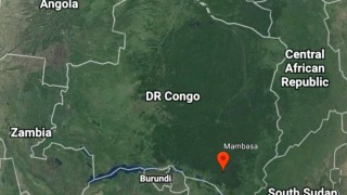Стрелба в резерват в Конго