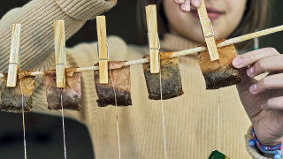 Знаем за многобройните употреби на утайката от кафе като