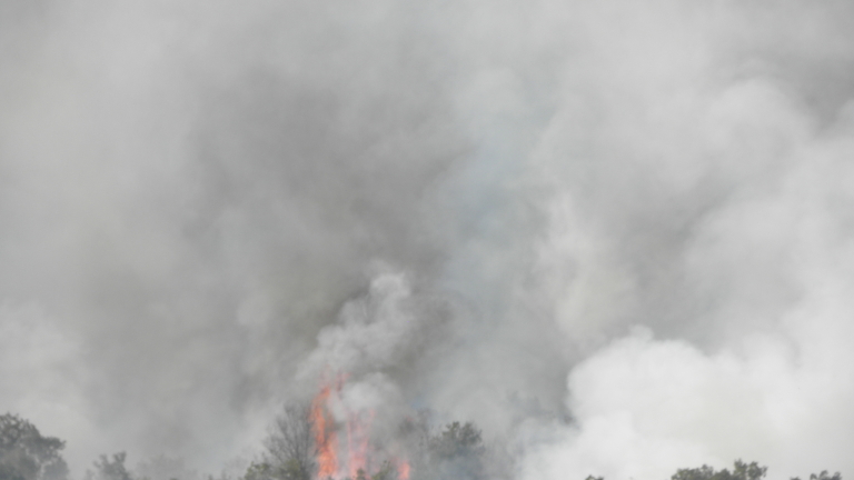 Голям пожар е възникнал в бургаския квартал Изгрев, съобщава БНР.